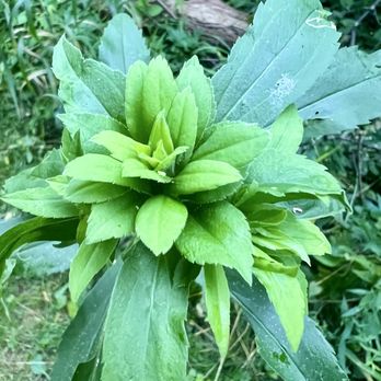 Nicholson Nature Center - Parks Near Me - Clinton Township, Michigan
