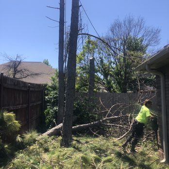 ABC tree service - Tree Services Near Me ABC tree service - Tree Services Near Me
