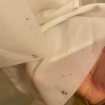 Kronborg Inn - BLACK MOLD on shower curtains. - Hotels Near Me - Solvang, California Kronborg Inn - BLACK MOLD on shower curtains. - Hotels Near Me - Solvang, California