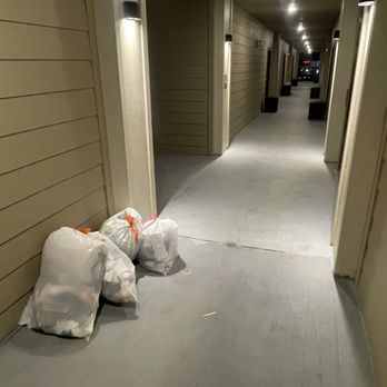 The Oasis at Lake Bennet - Garbage left in hallways all night long. - Apartments Near Me - Ocoee, Florida The Oasis at Lake Bennet - Garbage left in hallways all night long. - Apartments Near Me - Ocoee, Florida