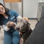 Photo of Livewell Animal Hospital of Austin