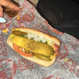 Chicago Dog Chicago Dog