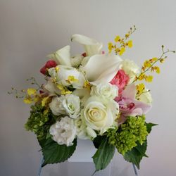 Franz James Floral Boutique
