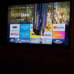 Frank Fix Tv Electronic Service - TV is distorted due to blunt force. Outside screen cover is not broke