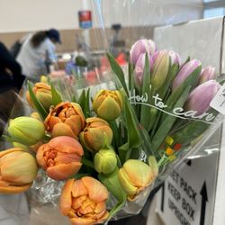 ALDI - Tulips my love