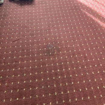 Quality Inn Burbank Airport - That dirt nasty the owner can go to Home Depot to rent a carpet cleaner - Hotels Near Me - Burbank, California