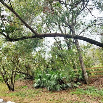 Solomon's Castle - Tours Near Me - Ona, Florida Solomon's Castle - Tours Near Me - Ona, Florida