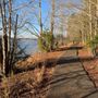 Photo of Copperhead Island