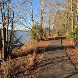 Copperhead Island