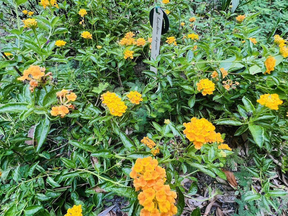 Possom Long Nature Center Image
