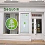 Photo of Sequoia