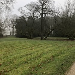 Reemtsmapark - Winterliche Leere