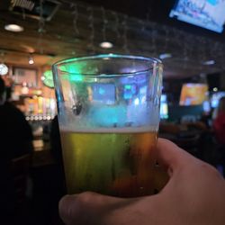 The Glass Turtle