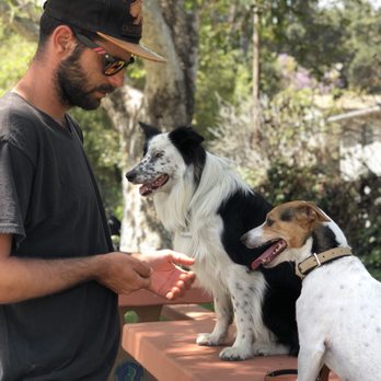 Ben Fadlon Dog Trainer - Building trust and respect - Pet Training Near Me - Northridge, California