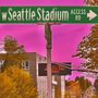 Photo of West Seattle Stadium