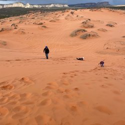 Red Sands Psychiatry - Sand boarding