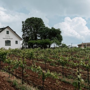 Di Stasio Vineyards - The tasting room - Wineries Near Me - Plymouth, California Di Stasio Vineyards - The tasting room - Wineries Near Me - Plymouth, California