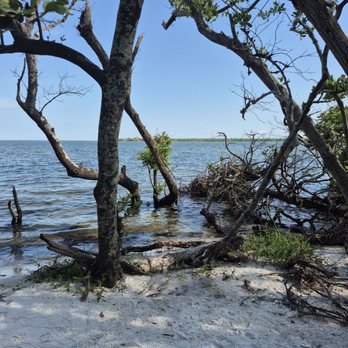 Desoto National Memorial - Parks Near Me - Bradenton, Florida Desoto National Memorial - Parks Near Me - Bradenton, Florida