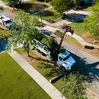 770-Tree-Guy - Tree Services Near Me - Newnan, Georgia 770-Tree-Guy - Tree Services Near Me - Newnan, Georgia
