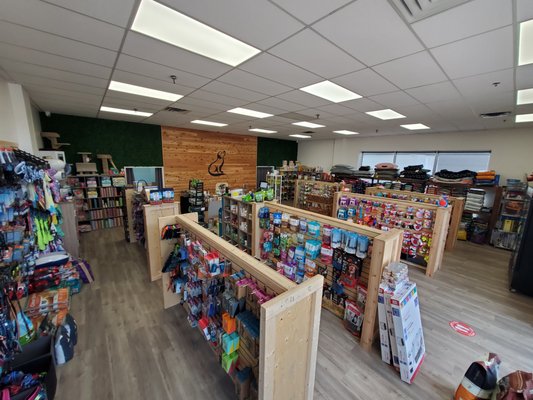 paw patrol pups and kitty tastrophe