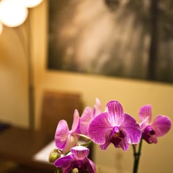 Eye Street Massage Therapy