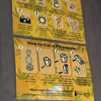 Maui Pineapple Tour - Tours Near Me - Makawao, Hawaii
