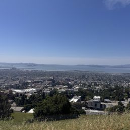 Views from the Hall