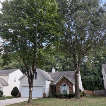 Solutions Concrete and Tree Service - Before and after photos. Finished heavy pruning of both trees. - Fences & Gates Near Me - Fort Mill, South Carolina Solutions Concrete and Tree Service - Before and after photos. Finished heavy pruning of both trees. - Fences & Gates Near Me - Fort Mill, South Carolina