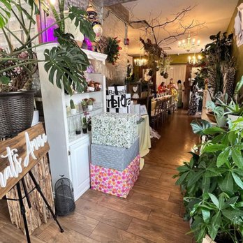 Verde Galerie - Juice Bars & Smoothies Near Me - Stamford, Connecticut Verde Galerie - Juice Bars & Smoothies Near Me - Stamford, Connecticut