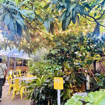 Sunflower Caffe - Back garden patio - Coffee & Tea Near Me - Sonoma, California Sunflower Caffe - Back garden patio - Coffee & Tea Near Me - Sonoma, California