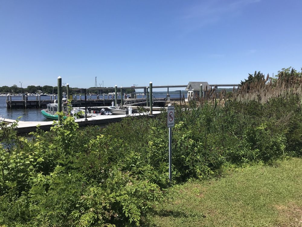 D.E.E.P MARINE FISHERIES HEADQUARTERS AND BOATING 10 Photos 333