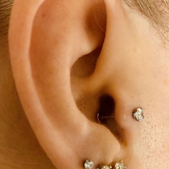 Love-N-Hate Tattoo Studio - My Tragus and 3rd hole on my lobe 33 - Tattoo Near Me - Lewisville, Texas Love-N-Hate Tattoo Studio - My Tragus and 3rd hole on my lobe 33 - Tattoo Near Me - Lewisville, Texas