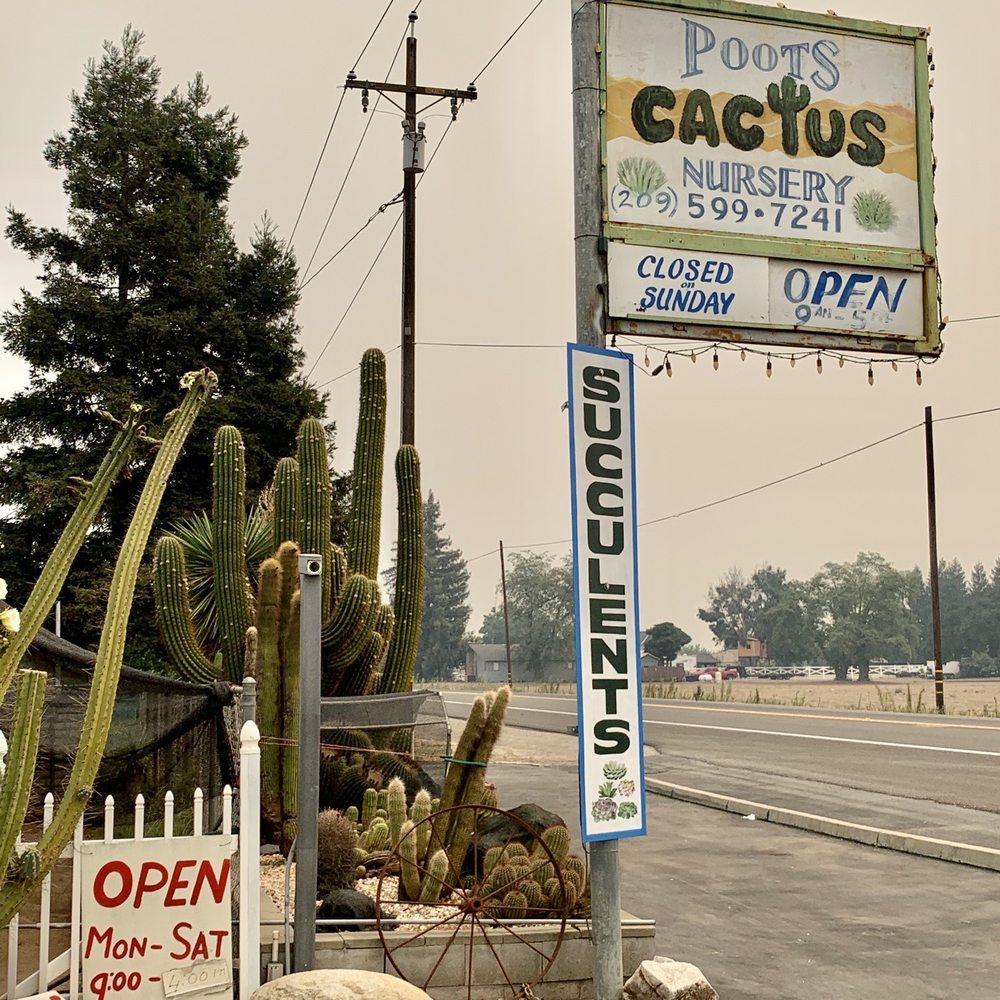 Poot's Cactus Nursery - They're closed Sundays... - Nurseries & Gardening Near Me - Ripon, California Poot's Cactus Nursery - They're closed Sundays... - Nurseries & Gardening Near Me - Ripon, California