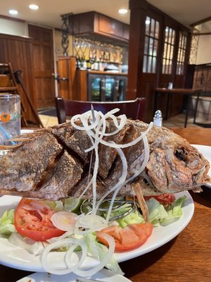Havana Restaurant by null