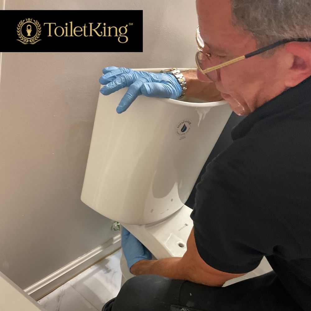 Slide of ToiletKing