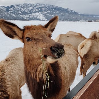 Idaho Sleigh Rides - Tours Near Me Idaho Sleigh Rides - Tours Near Me