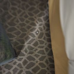 Holiday Inn Express & Suites Burlington - Mount Holly - Dirty carpet