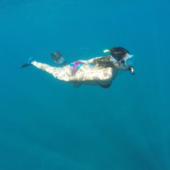 Quicksilver Charters - Snorkeling Time!! - Snorkeling Near Me - Wailuku, Hawaii