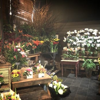 In Full Bloom - Florists Near Me - South Melbourne, VIC In Full Bloom - Florists Near Me - South Melbourne, VIC