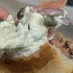 Big Daddy Bagels