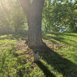 Liberty Park - QR codes to learn about the trees! How thoughtful!