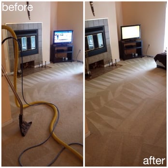 USA Green Clean - pet treatment in progress - Carpet Cleaning Near Me USA Green Clean - pet treatment in progress - Carpet Cleaning Near Me