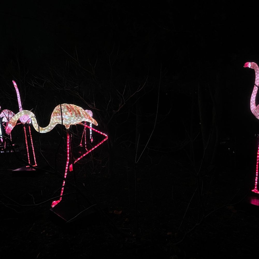 ZooLights - Zoos Near Me - Washington, DC, District of Columbia