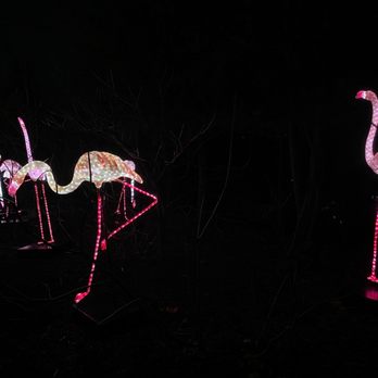 ZooLights - Zoos Near Me - Washington, DC, District of Columbia