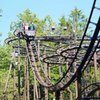 Wild Mouse gift card
