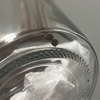 MLC Properties & Management - live bed bugs from 6818 N Wayne - Real Estate Services Near Me - Chicago, Illinois