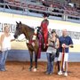 Photo of Weddle Training Stables