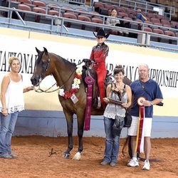 Weddle Training Stables - Brass air and Kaitlyn Sherman Reserve National Champion Stock Seat Equitation.