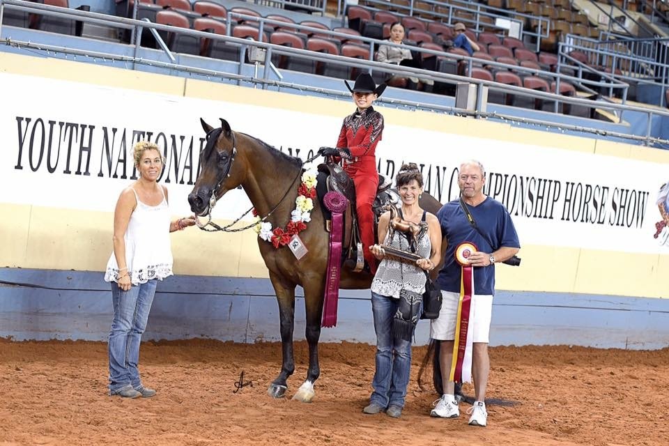 Weddle Training Stables - equestrian in Austin, TX