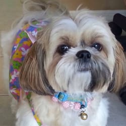 Happy Tails - Mademoiselle Chloe